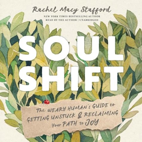 Soul Shift: The Weary Human’s Guide to Getting Unstuck and Reclaiming Your Path to Joy