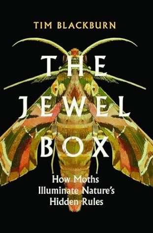 The Jewel Box: How Moths Illuminate Nature’s Hidden Rules