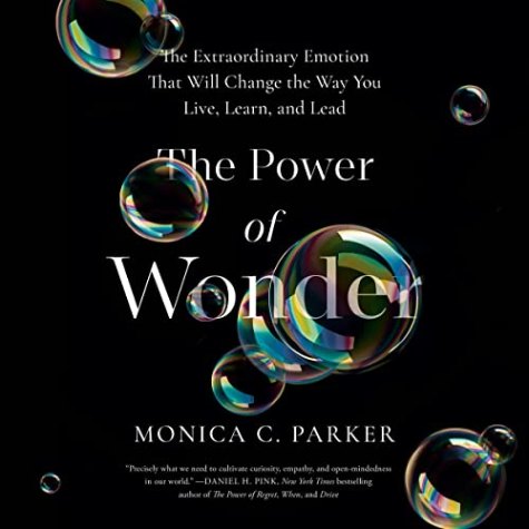 The Power of Wonder: The Extraordinary Emotion That Will Change the Way You Live, Learn, and Lead
