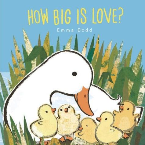 How Big Is Love? (Emma Dodd’s Love You Books)