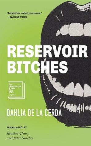 Reservoir Bitches: Stories
