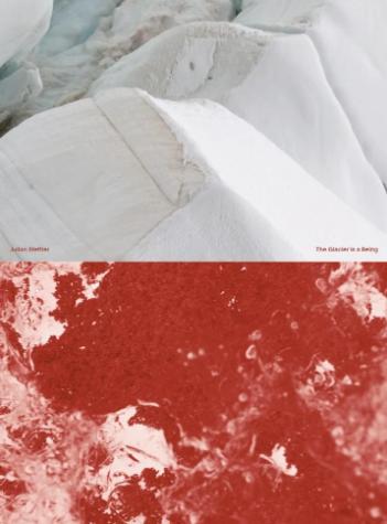 The Glacier is a Being