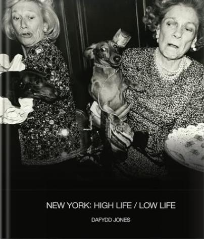 New York: High Life/Low Life,