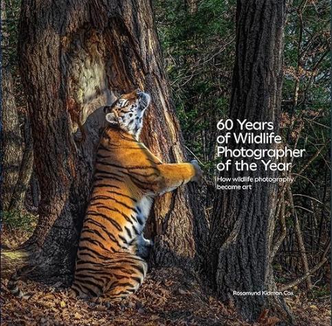 60 Years of Wildlife Photographer of the Year: How Wildlife Photography Became Art