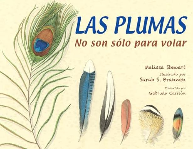 Las plumas: no son sólo para volar
