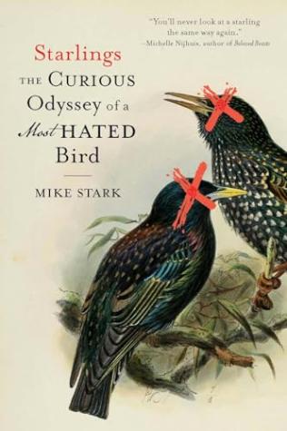 Starlings: The Curious Odyssey of a Most Hated Bird