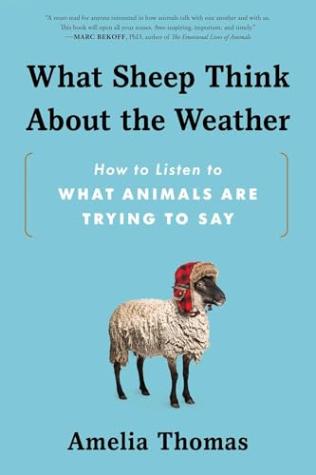What Sheep Think About the Weather: How to Listen to What Animals Are Trying to Say