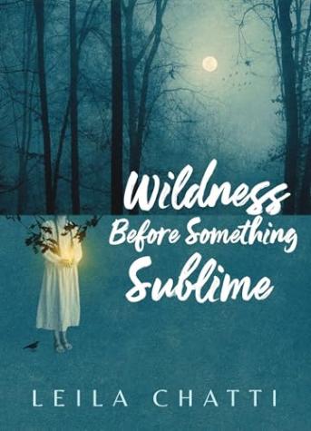 Wildness Before Something Sublime