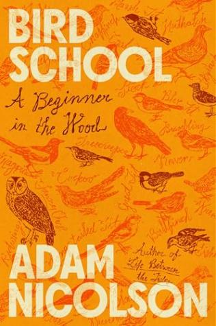 Bird School: A Beginner in the Wood