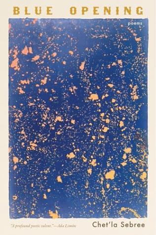 Electric Lit’s Best Poetry Collections of 2025