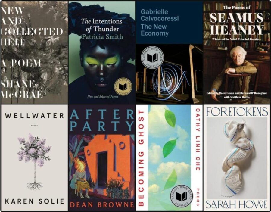 The Best Books of 2025 – Poetry