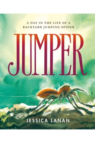 Jumper: A Day in the Life of a Backyard Jumping Spider by Jessica Lanan