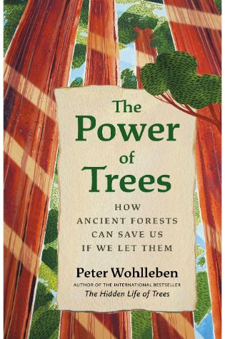 The Power of Trees: How Ancient Forests Can Save Us if We Let Them (From the Author of The Hidden Life of Trees) by Peter Wohlleben
