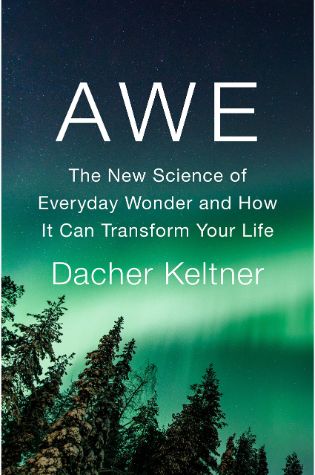 Awe: The New Science of Everyday Wonder and How It Can Transform Your Life by Dacher Keltner